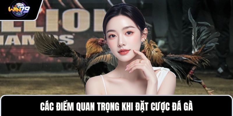 Các điểm quan trọng khi đặt cược đá gà
