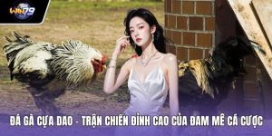 Đá Gà Cựa Dao – Trận Chiến Đỉnh Cao Của Đam Mê Cá Cược