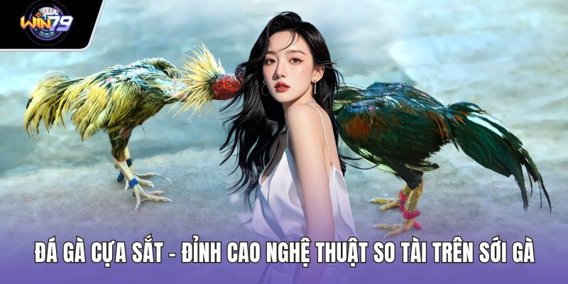 Đá Gà Cựa Sắt – Đỉnh Cao Nghệ Thuật So Tài Trên Sới Gà