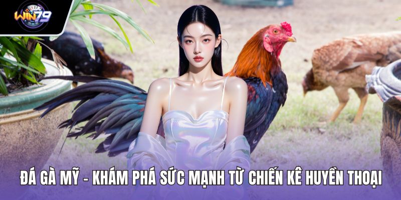 Đá Gà Mỹ - Khám Phá Sức Mạnh Từ Chiến Kê Huyền Thoại