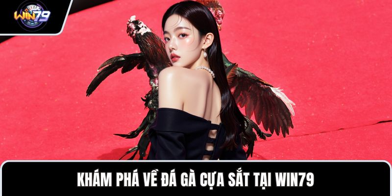 Khám phá về đá gà cựa sắt tại WIN79