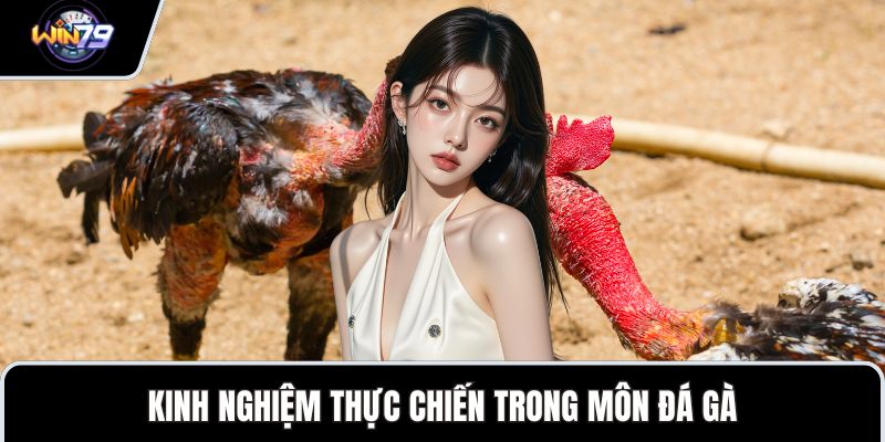 Kinh nghiệm thực chiến trong môn đá gà