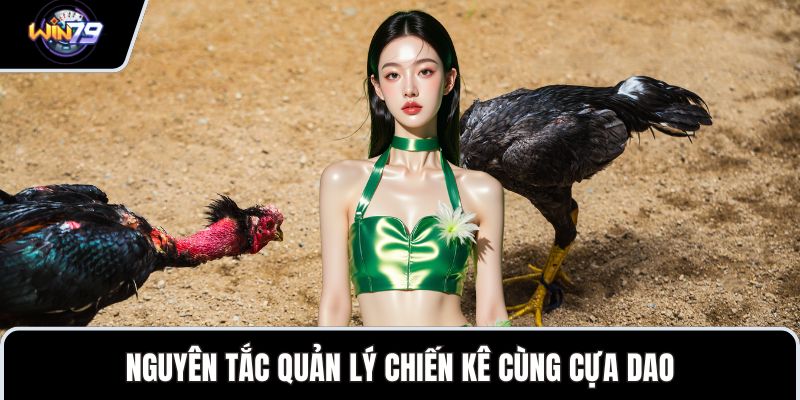 Nguyên tắc quản lý chiến kê cùng cựa dao