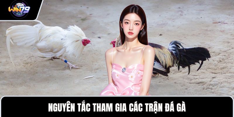 Nguyên tắc tham gia các trận đá gà
