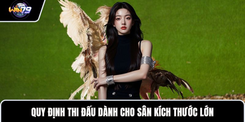 Quy định thi đấu dành cho sân kích thước lớn