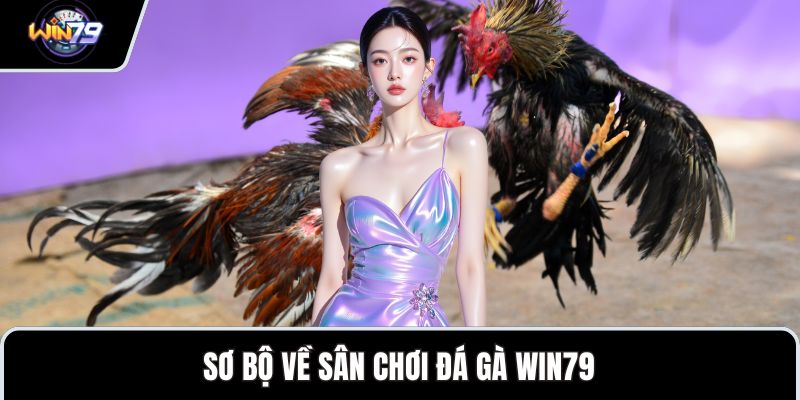 Sơ bộ về sân chơi đá gà WIN79