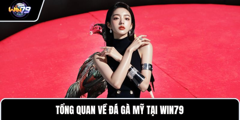 Tổng quan về đá gà Mỹ tại WIN79